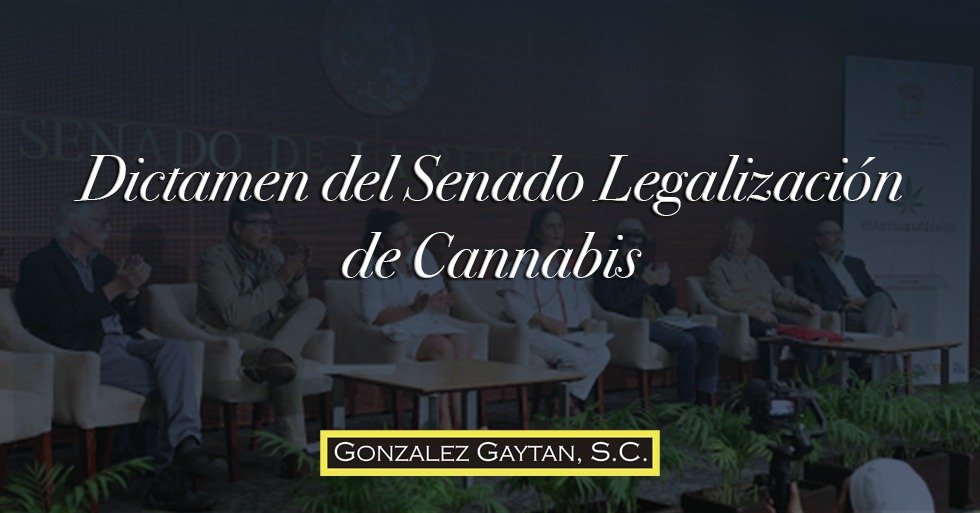 legalización de marihuana