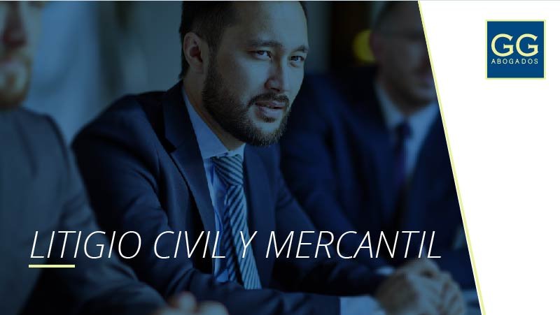 Litigio Civil y Mercantil